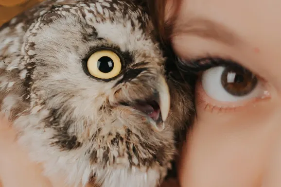 Cazino B Bets Cazinou Suport